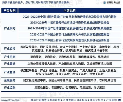 2023年中国it运维服务行业现状及未来发展趋势研究报告 智研咨询发布