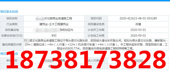 项目实施方案-工业工厂可行性报告编写单位